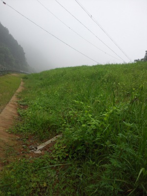 福建邵武市同清溪右岸生態混凝土